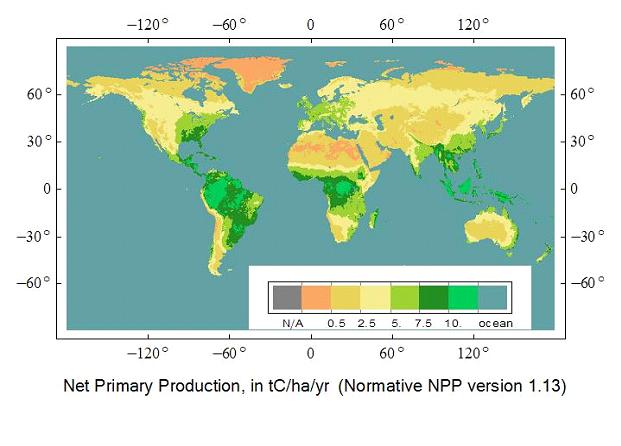 Net Primary Production, in tC/ha/yr (Normative NPP version 1.13)