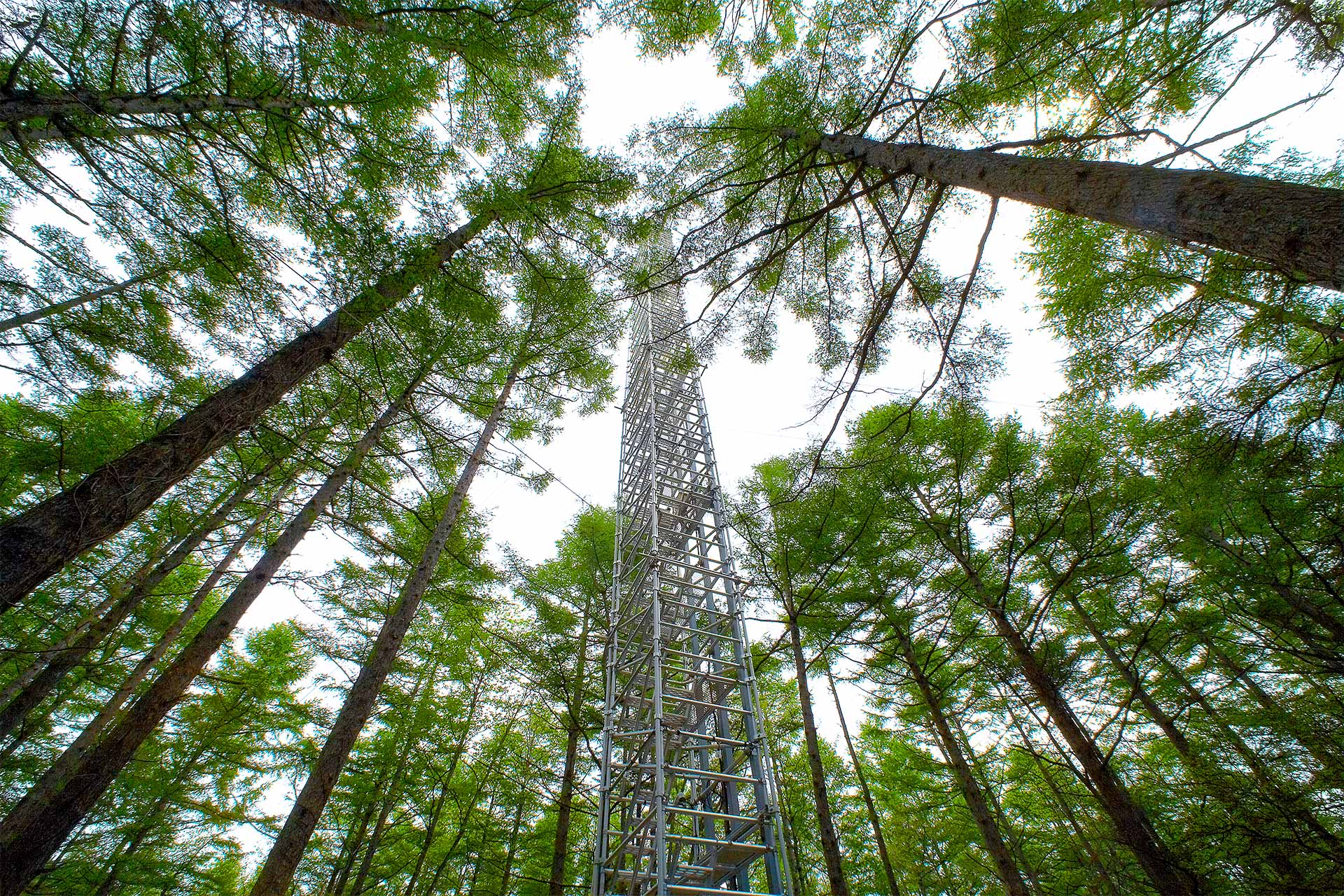 Fuji Hokuroku Flux Observation Site