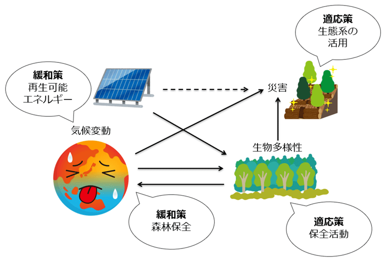 気候変動と生物多様性との絡み合い。気候変動と生物多様性は一方のみを考えた対策ではなく、両方を考えた対策が必要。