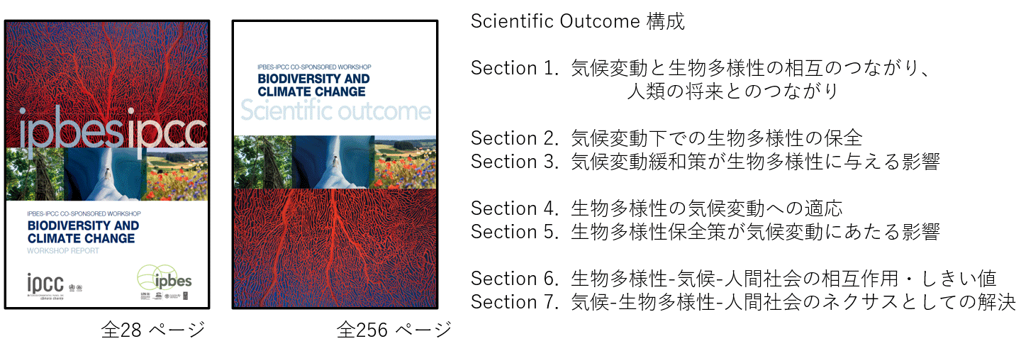 IPBES-IPCC 合同ワークショップ報告書の構成。