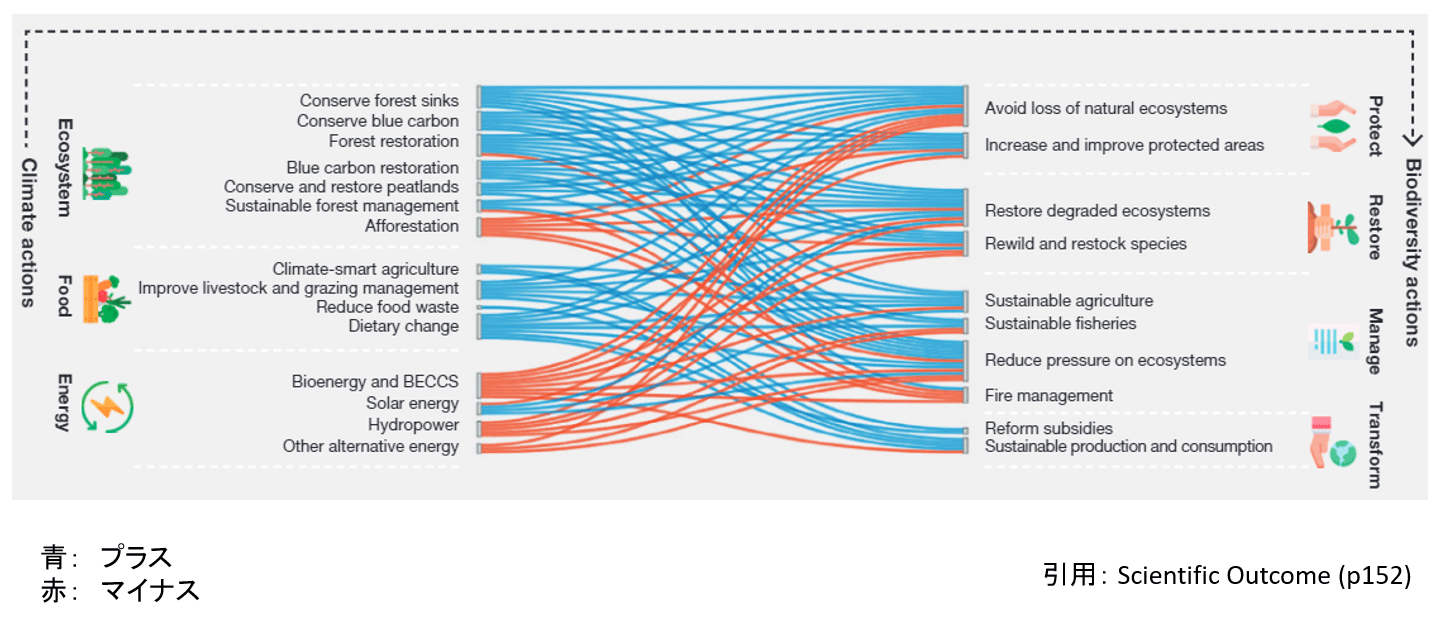 気候変動の緩和・適応の対策が、生物多様性に与える影響。気候変動のみに焦点をあてた対策は、生物多様性に対して悪影響の可能性がある。左：気候変動対策（生態系、食料、エネルギー）、右：生物多様性対策（保護、修復、管理、変革）。青い線はプラスの影響、赤い線はマイナスの影響を表す。