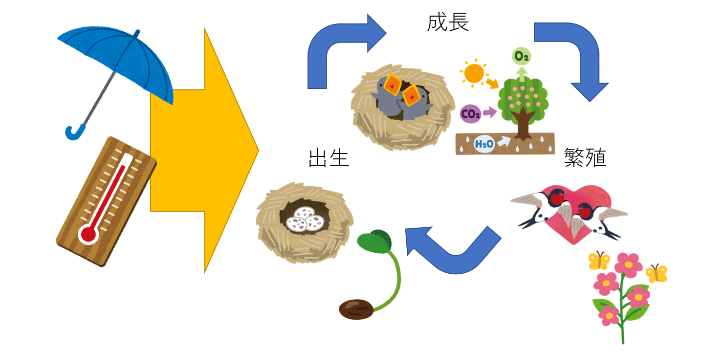 なぜ気候変動が生物に影響するのか。気候（気温・降水量）がさまざまな生命活動に作用するため。