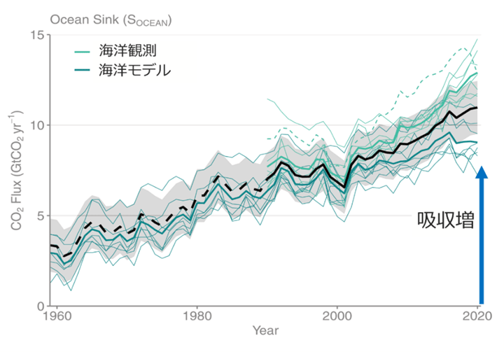 図4 海洋CO2収支(うすい青色は海洋観測に基づいたCO2吸収量、濃い青は海洋モデル、黒はGCBが評価した見積もり)