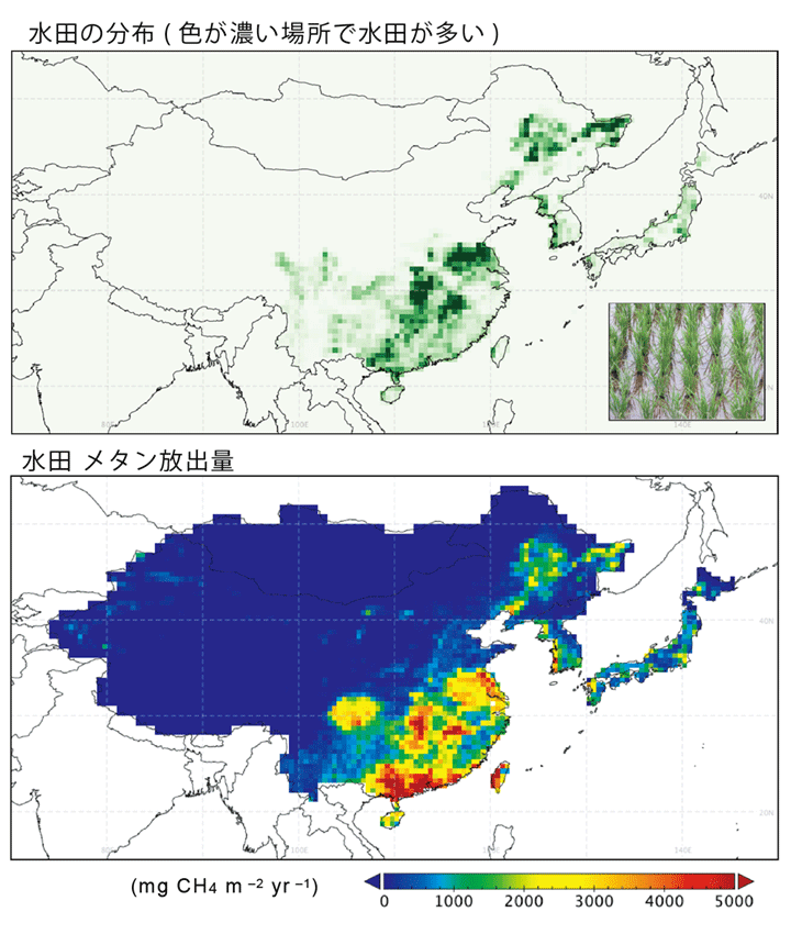 図1 本研究で使用された水田マップの例と、推定された東アジアの水田によるメタン放出量の分布。2000–2015年について複数の計算結果を平均したもの。平野部(例えば中国では華中・華南と呼ばれる地域や日本の関東平野)に水田が多く分布し、メタン放出量が大きいことが見て取れます。