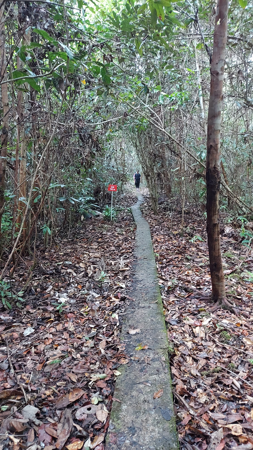 写真4　目的の観測地までひたすら歩く。歩道が整備されており、歩きやすかった。