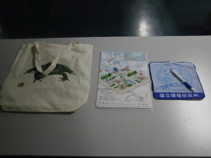 写真7 エコバックと国立環境研究所グッズ。
