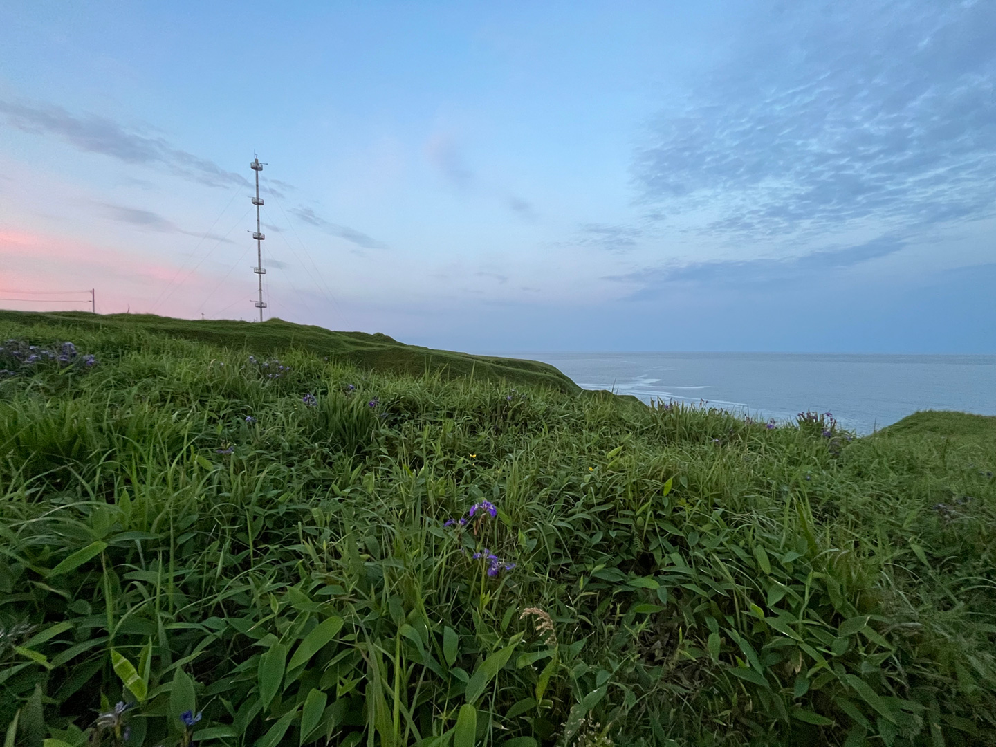 写真6 一面草原で、海の隣にひっそり立っているステーション。この貴重な環境で観測できることに改めて感謝したいと思います。