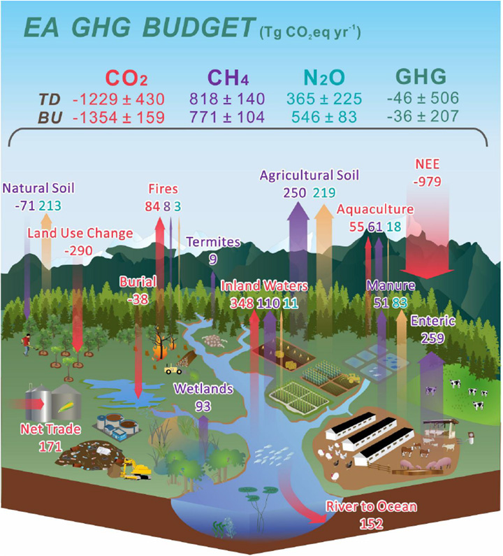 図1　東アジア地域の温室効果ガス収支の概要。TDは大気観測に基づくトップダウン手法の推定、BUは地上での放出・吸収量を積み上げたボトムアップ手法の推定を示します。両推定法の結果は概ね一致するものが多いですが差が目立つものもあり、また±で示される誤差の範囲が大きいため、それらの不整合や誤差を小さくしていくのが今後の課題です。