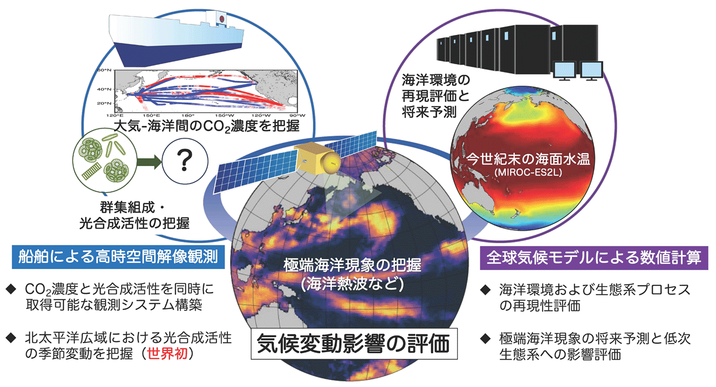 図1:本研究の枠組み図(今回の本文には掲載していないテーマも一部含む)