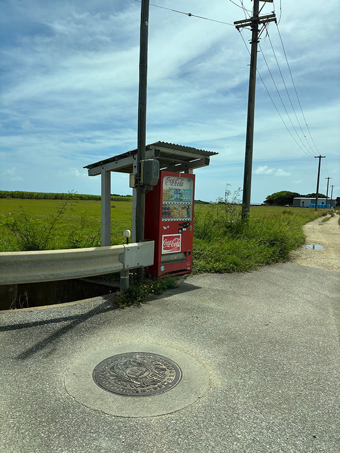 写真：波照間島の自販機