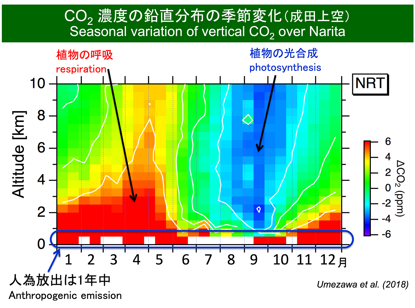 CO2濃度の鉛直分布の季節変化（成田上空）