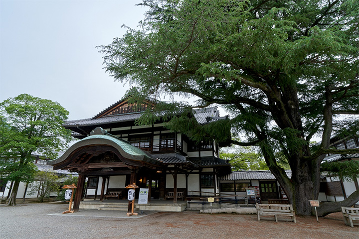 写真：会場（＠栗林公園）（国立環境研究所 広報室 成田正司氏 撮影）