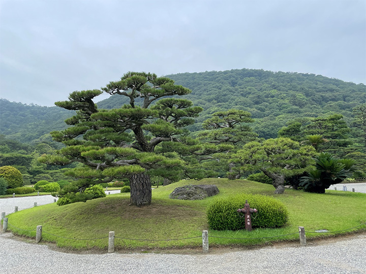 写真：背後の紫雲山ともマッチしていて、多くの緑に癒やされました。