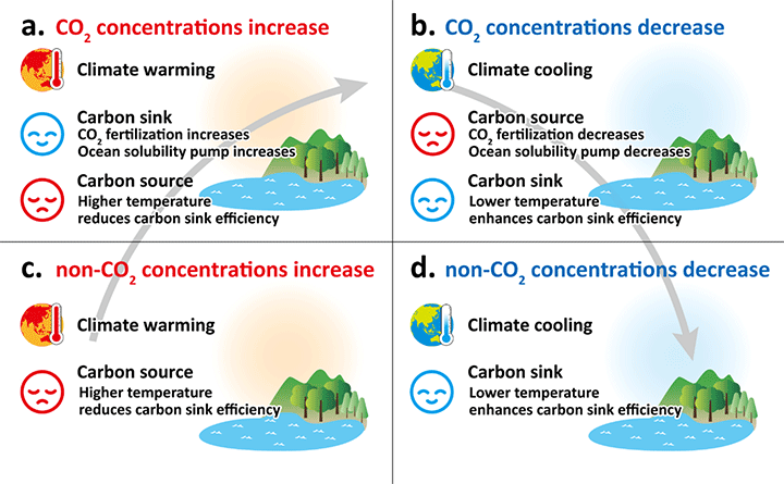 Figure 1. Schematic representation of impacts of (a) CO2 increase, (b) CO2 decrease, (c) non-CO2 increase, and (d) non-CO2 decrease on the climate and carbon cycle.