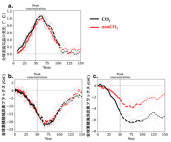 図2. この研究では、CO2と非CO2温室効果ガス濃度を0-50年で増加させ(温室効果濃度上昇期、実線)、50-100年で低下させ(温室効果ガス濃度減少期、破線)、100-150年で一定値で安定化(温室効果ガス安定化期、点線)させている。シミュレーションで与えたCO2と非CO2温室効果ガス濃度は、実験開始時期と安定化期では産業革命前の濃度、50年(濃度のピーク時)では、産業革命前と比較して温室効果による地表の加熱効果(放射強制力)が2 Wm-2程度(産業革命前から現在までの放射強制力と同程度)となるように調整している。図は、理想化されたシナリオにおける(a) CO₂と非CO₂温室効果ガスの放射強制力による全球平均表面気温の変化(℃), (b) 陸上および (c) 海洋の累積炭素吸収量 (GtC) を示している。黒はCO₂濃度変化による影響を、赤は非CO₂濃度変化による影響を表している。図2のパネルbおよびcでは、気温変化が炭素吸収量に与える影響、および「複合的な影響」(CO₂濃度変化と気温変化が同時に炭素吸収量に影響を与える場合)を示している。一方で、陸上のCO2肥沃化や海洋の溶解ポンプによる炭素吸収量は含まれていない。