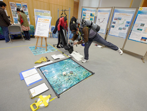 photo. サンゴが教える海の温暖化