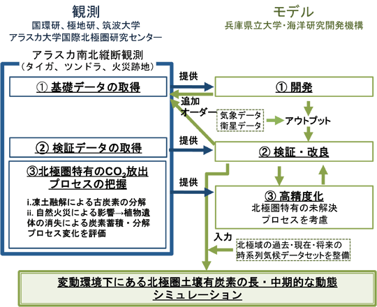 fig. 研究フローチャート