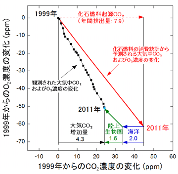 fig. 観測結果に基づく炭素収支計算結果