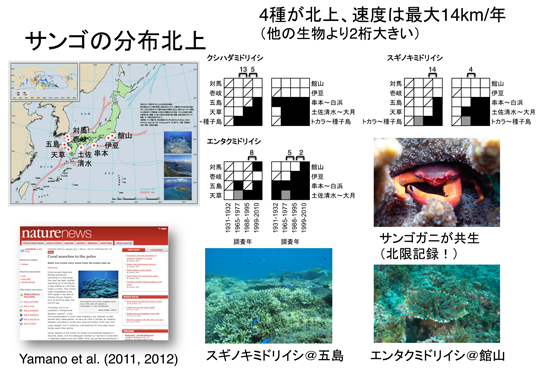 fig. サンゴの分布北上