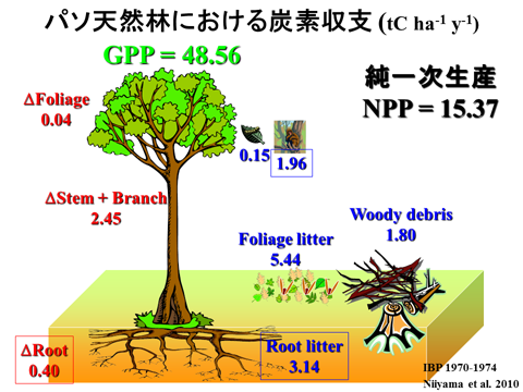 fig. 炭素収支