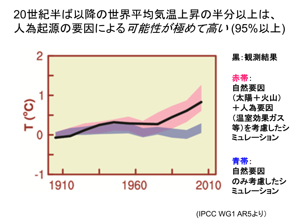 20世紀半ば以降の世界平均気温上昇の半分以上は、人為起源の要因による可能性が極めて高い（95%以上）