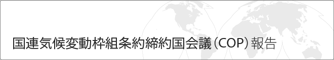 国連気候変動枠組条約締約国会議（COP）報告