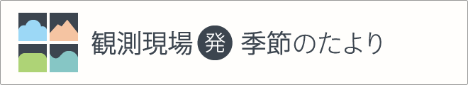 観測現場発 季節のたより