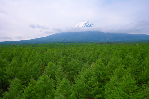 cover. 富士山