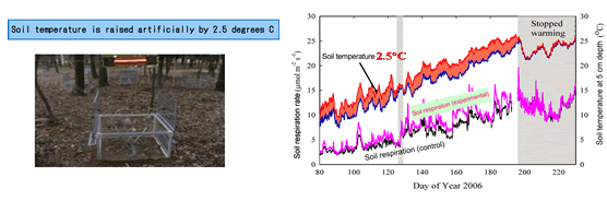 Figure 10: Examples of field studies on the effects of global warming on soil respiration