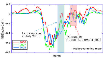 Differences in respiration flux between 2006, 2007 and 2008 at Fuji Hokuroku site