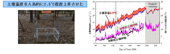 土壌呼吸量の温暖化影響の調査