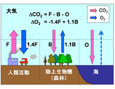 CO2とO2の大気と陸上生物圏、海洋とのやり取り