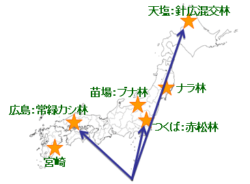 土壌呼吸温暖化影響実験サイト