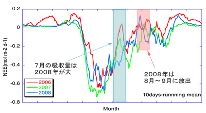 富士北麓サイトでの2006,2007,2008年の吸収フラックスの違い