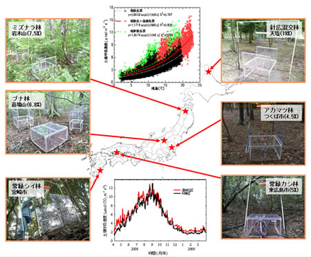 Relationship between soil respiration and temperature increase