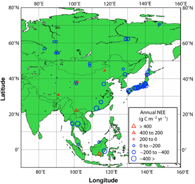 アジアの森林での純光合成量の比較