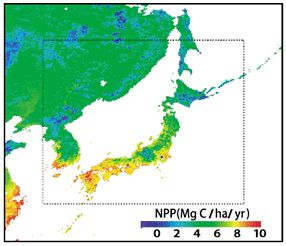 the current net primary productivity (NPP) of East Asia evaluated by Sim-CYCLE 