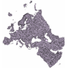 Data of Europe