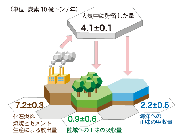 温暖化の科学 Q5 森林の減少と二酸化炭素吸収量 ココが知りたい地球温暖化 地球環境研究センター