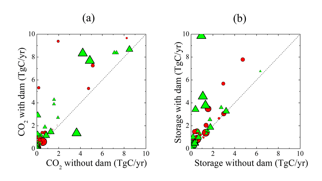 fig.5 Changes in vertical flux without and with reservoirs; (a) CO<sub>2</sub> evasion and (b) sediment storage affected by the height of the reservoir. The result shows the flux increases not only in a river with a reservoir (●), but also in a river downstream of reservoir (▲).