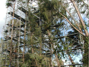 植物調査用架設足場;損傷無し