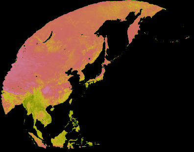 1996年1月