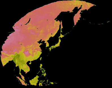 1996年11月